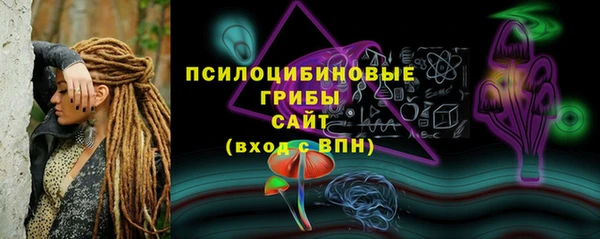 ECSTASY Богородицк